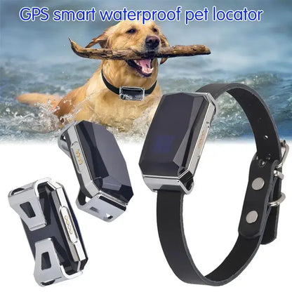 Collar GPS inteligente para perros