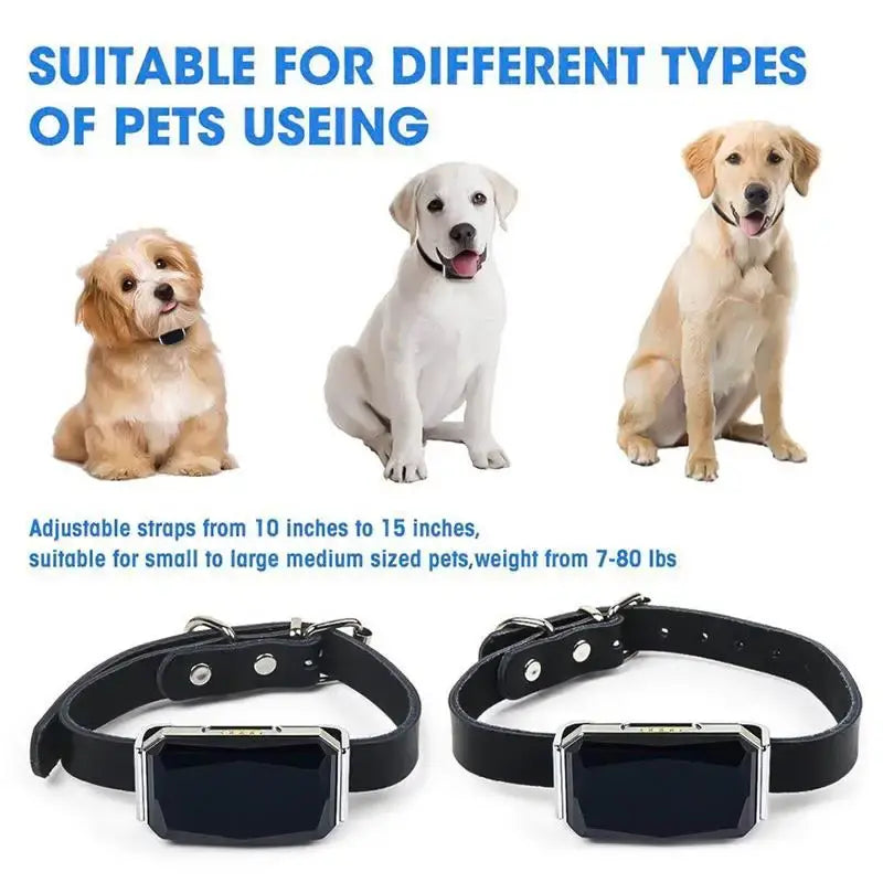 Collar GPS inteligente para perros