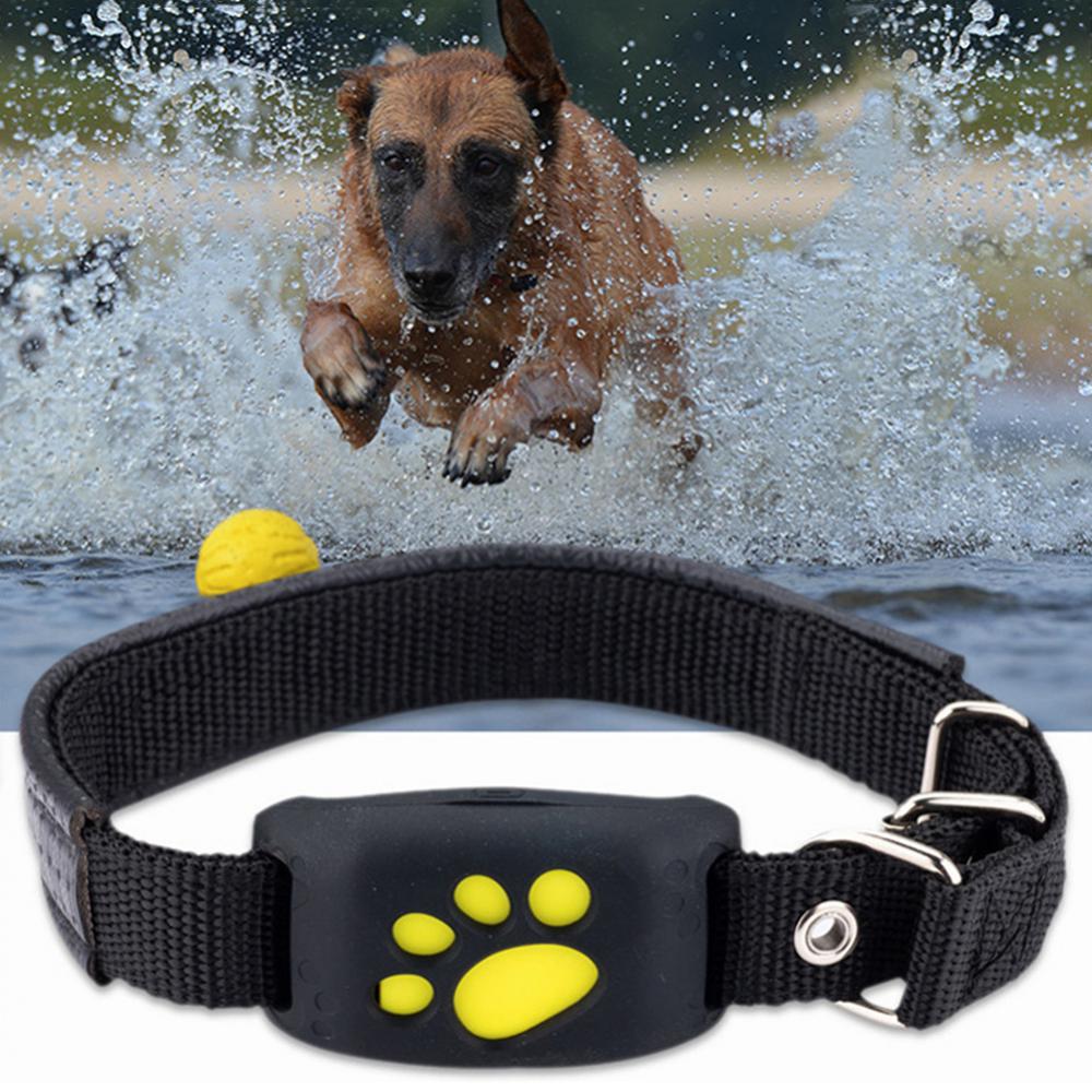 Collar GPS para Mascotas - Tienda Canalisma.com - ventas online