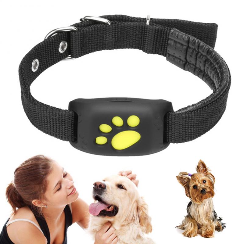 Collar GPS para Mascotas - Tienda Canalisma.com - ventas online