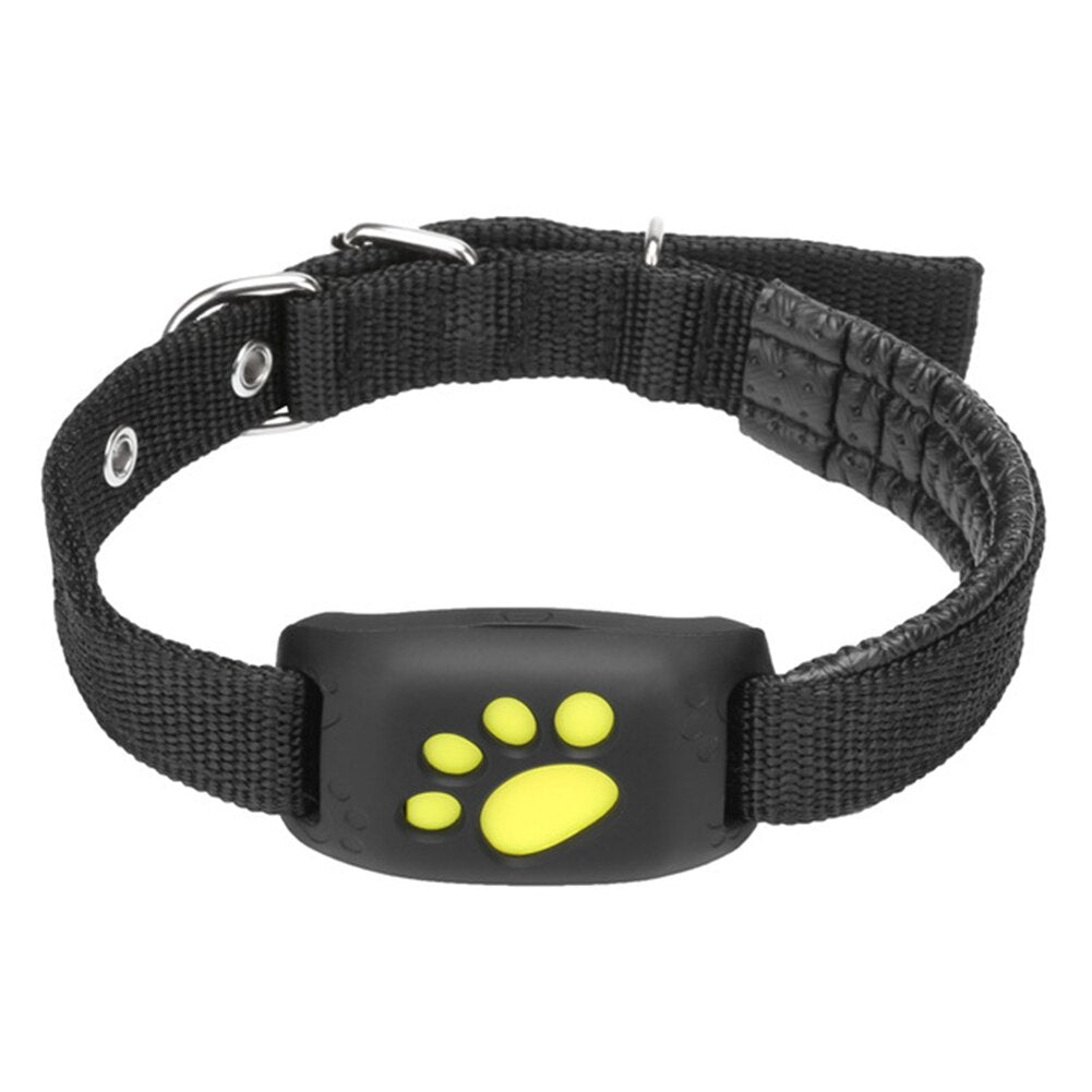 Collar GPS para Mascotas - Tienda Canalisma.com - ventas online